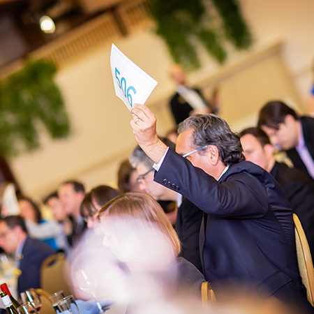 Man Holding Number Up At Auction